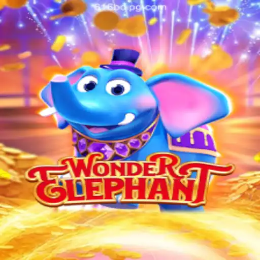 Exploring WonderElephant: A New Adventure on the 616Boi.COM Platform